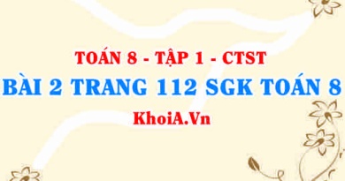 Bài 2 trang 112 SGK Toán 8 Tập 1 Chân trời sáng tạo